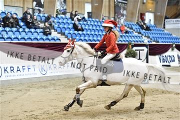 161006_abo_01__D051063.JPG