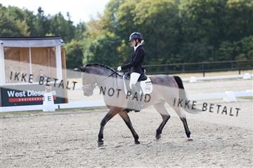 181894_mtp_01_R62_0821.JPG