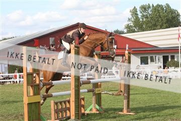 5925_ma_04_IMG_0488.JPG