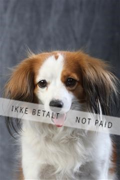 129608_le_ 01_0545.JPG