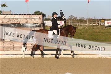 148862_sg_01_IMG_2131.JPG