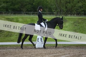 147698_nn_01_IMG_8743.JPG