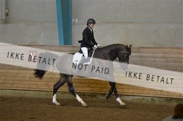 144288_abo_01__AB22453.JPG