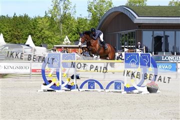 181436_avh_02_3822.JPG