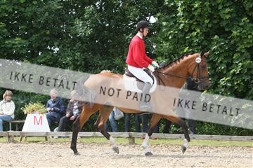 135518_ms_01_IMG_1511.JPG