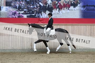 181887_mtp_01_R62_7128.JPG