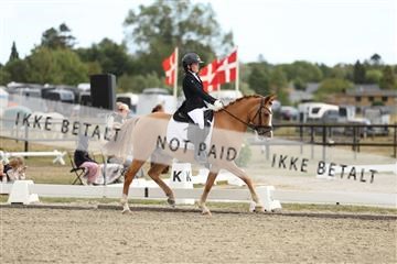 181894_mtp_03_R62_2432.JPG