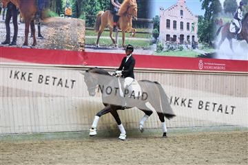 181887_mtp_05_R62_9377.JPG
