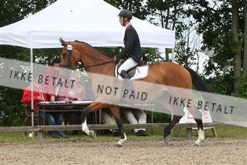 135518_ms_01_IMG_1461.JPG