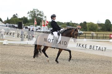 181894_mtp_02_R62_1368.JPG