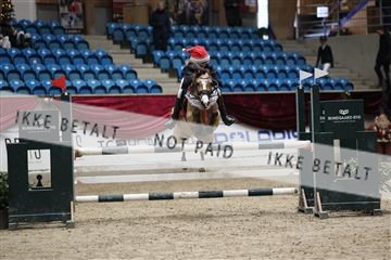 175934_avh_02_7604.JPG