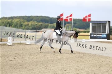 181894_mtp_04_R62_3347.JPG