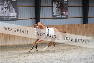 170446_abo_01_D05_0896.JPG