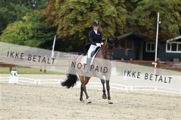 181923_mtp_03_R62_7527.JPG