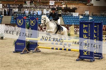 175934_avh_02_6932.JPG