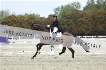 181923_mtp_03_R62_7633.JPG
