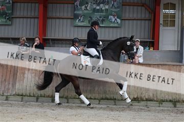 181867_mtp_01_R62_3790.JPG
