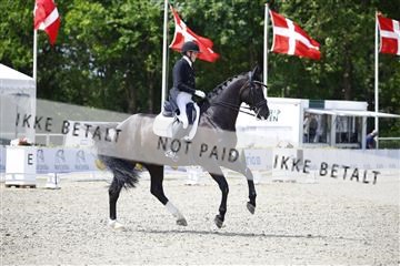 181449_kbb_02_6II0219.JPG