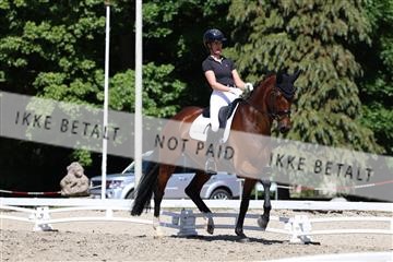 174742_bc_01_R62_2251.JPG
