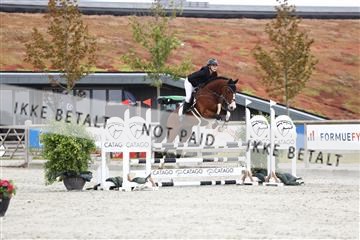 181922_avh_02_1495.JPG