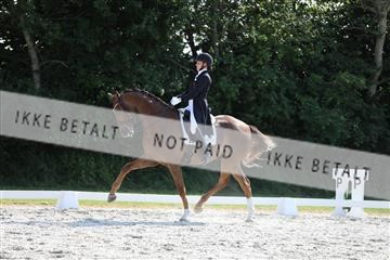 172073_mtp_01_3M5A4796.JPG