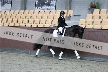 181852_mtp_01_R62_1219.JPG