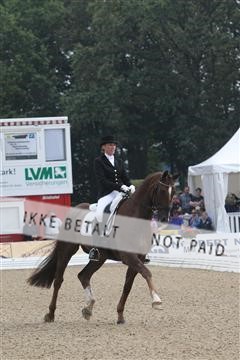 125527_TBJ_08_IMG_3840.JPG