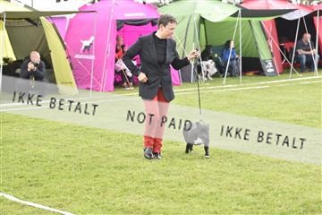 162688_bkn_01__BKN0063.JPG