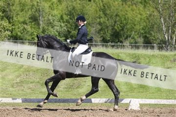 147698_nn_01_IMG_0002.JPG