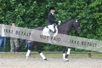 135518_ms_01_IMG_1336.JPG