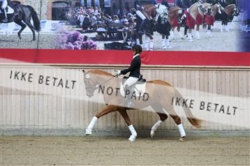 181887_mtp_04_R62_8169.JPG