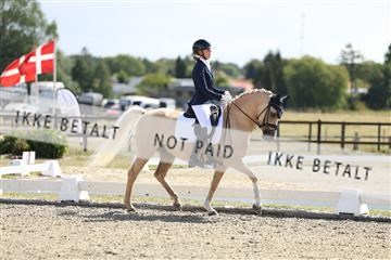 181894_mtp_02_R62_1478.JPG