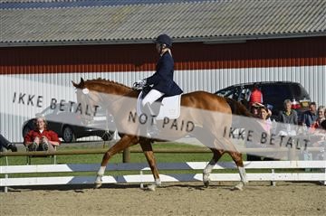 136195_abo_01__AB16535.JPG