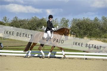 136195_abo_01__AB16636.JPG