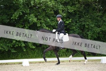 162958_mep_01_DSC_6153.JPG