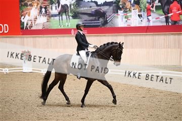174186_kbb_01_R6II4619.JPG