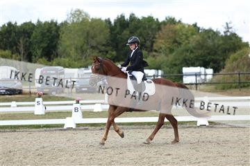 181894_mtp_05_R62_4700.JPG