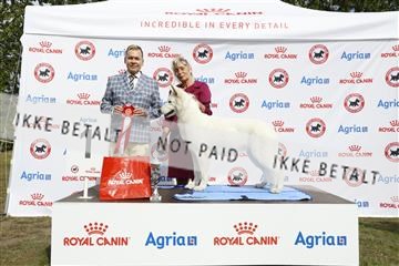 181848_kar_01__62_0771.JPG
