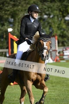 144548_abo_01__ab13023.JPG