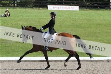 135676_sg_01_IMG_7695.JPG