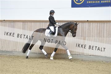 160111_nn_01__ESK1895.JPG