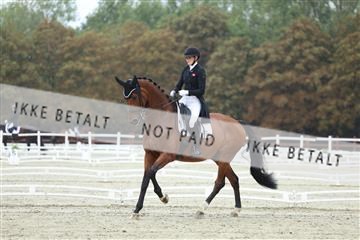 181923_mtp_03_R62_7704.JPG