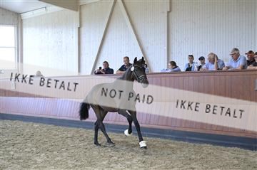 181595_kbb_01_Z096981.JPG