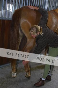 1257_04_100-0001_IMG.JPG