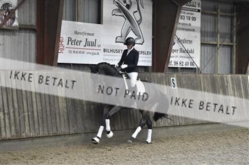 173181_kbb_01__D4S6212.JPG