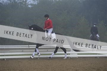136195_abo_01__AB15060.JPG