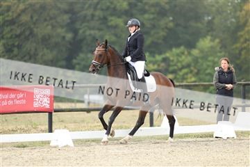 181894_mtp_04_R62_3487.JPG