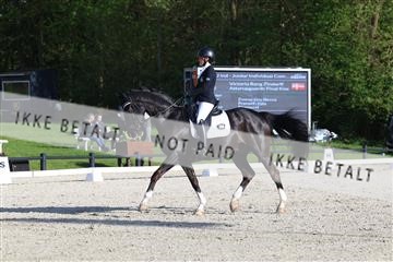 179330_avh_01_8581.JPG