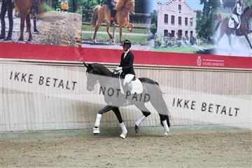 181887_mtp_04_R62_8747.JPG