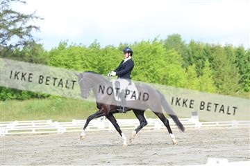 174661_kbb_01_R6II6442.JPG